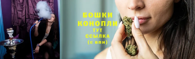 где купить наркотик  hydra как войти  Конопля Ganja  Могоча 